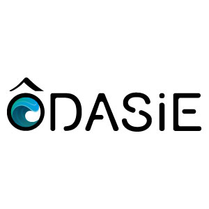 Logo-Odasie-Artno-Design